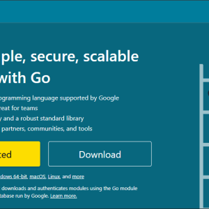 Develop a golang project or support existing codebase