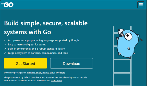 Develop a golang project or support existing codebase