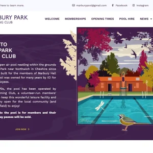 Build you an automated dropshipping shopify store shopify website