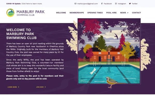 Build you an automated dropshipping shopify store shopify website
